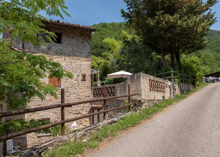 Il Mulino Della Cupolina 维基奥